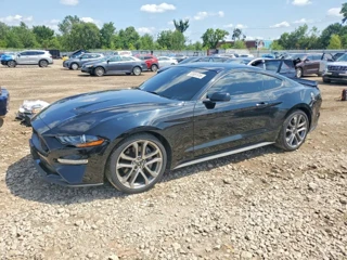 FORD MUSTANG GT