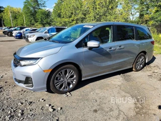 HONDA ODYSSEY TOURING