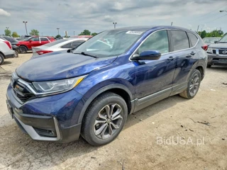 HONDA CR-V EX