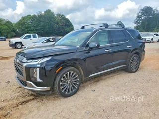 HYUNDAI PALISADE CALLIGRAPHY
