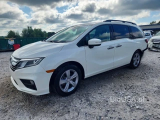 HONDA ODYSSEY EXL