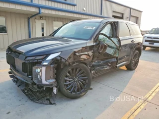 HYUNDAI PALISADE CALLIGRAPHY NIGHT EDITION