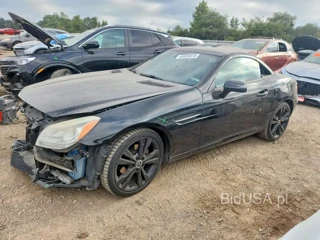MERCEDES-BENZ SLK 250