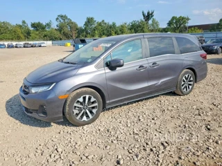HONDA ODYSSEY EXL