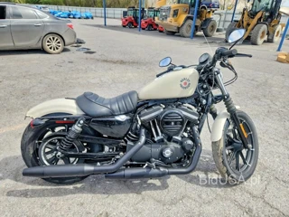 HARLEY-DAVIDSON XL883 N