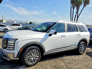 HYUNDAI PALISADE CALLIGRAPHY