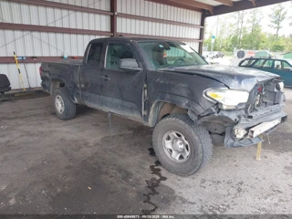TOYOTA TOYOTA TACOMA SR