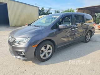 HONDA ODYSSEY EXL