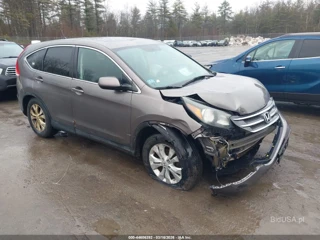 HONDA HONDA CR-V EX