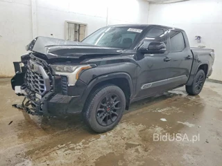 TOYOTA TUNDRA PLATINUM