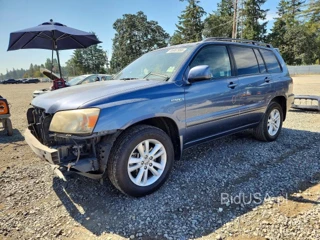 TOYOTA HIGHLANDER HYBRID
