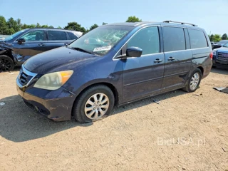 HONDA ODYSSEY EXL