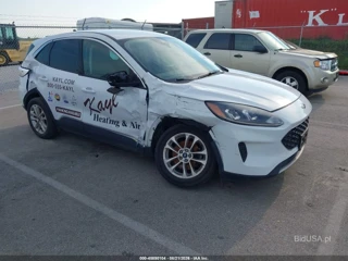 FORD FORD ESCAPE SE