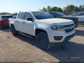 CHEVROLET CHEVROLET COLORADO WT