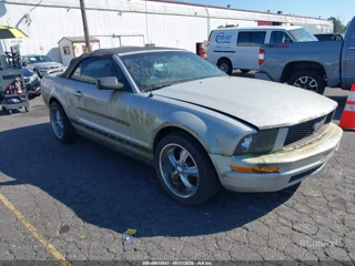 FORD FORD MUSTANG V6