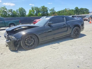 FORD MUSTANG GT