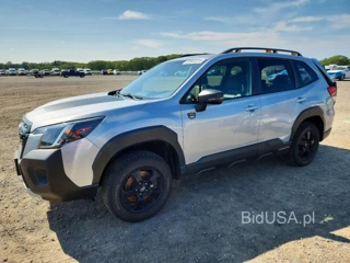 SUBARU FORESTER WILDERNESS