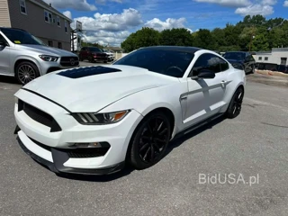 FORD MUSTANG SHELBY GT350