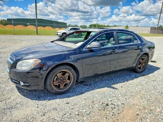 CHEVROLET MALIBU LS
