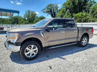 FORD F150 XLT