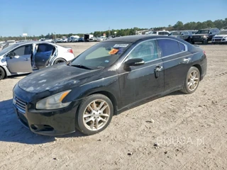 NISSAN MAXIMA 3.5