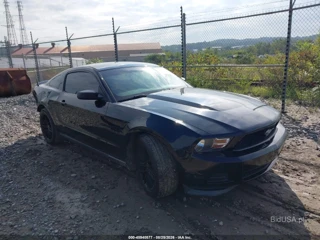 FORD FORD MUSTANG V6