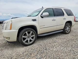 CADILLAC ESCALADE LUXURY