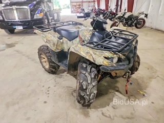 YAMAHA GRIZZLY