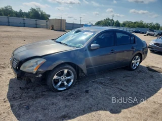 NISSAN MAXIMA 3.5 SE