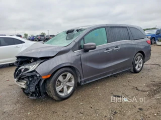 HONDA ODYSSEY EXL