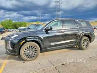 HYUNDAI PALISADE CALLIGRAPHY NIGHT EDITION