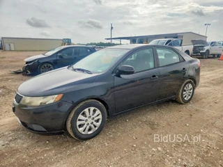 KIA FORTE EX