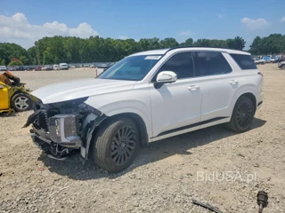 HYUNDAI PALISADE CALLIGRAPHY NIGHT EDITION