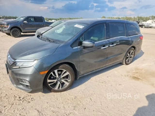 HONDA ODYSSEY ELITE