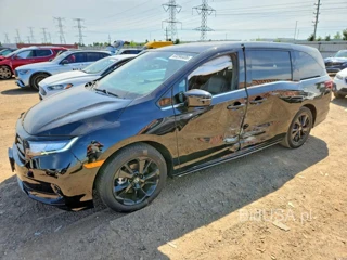 HONDA ODYSSEY SPORT