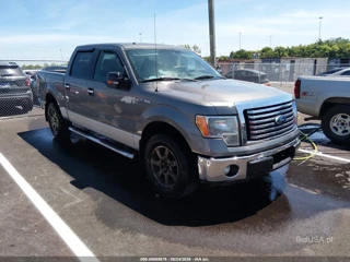 FORD FORD F-150 XLT