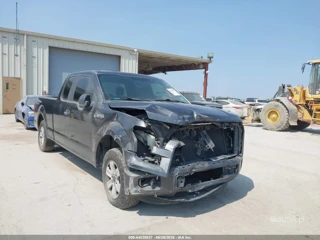 FORD FORD F-150 XL/XLT