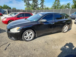 NISSAN MAXIMA 3.5 S