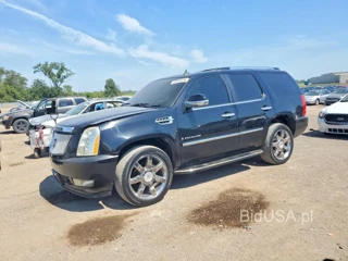 CADILLAC ESCALADE LUXURY