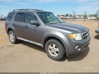 FORD FORD ESCAPE XLT