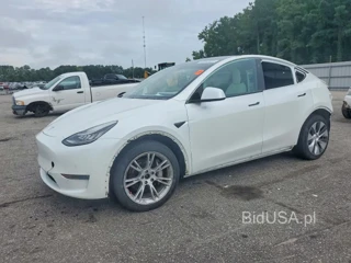 TESLA MODEL  Y
