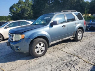 FORD ESCAPE XLT