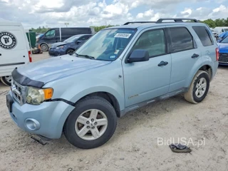 FORD ESCAPE HEV