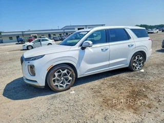 HYUNDAI PALISADE CALLIGRAPHY