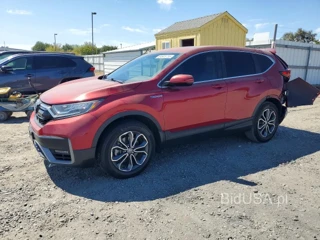 HONDA CR-V EX