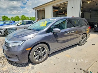 HONDA ODYSSEY ELITE
