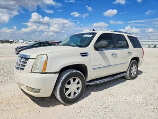 CADILLAC ESCALADE LUXURY