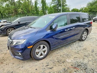 HONDA ODYSSEY EXL