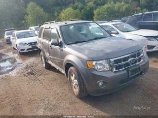 FORD FORD ESCAPE XLT