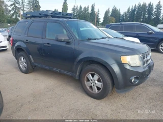 FORD FORD ESCAPE XLT